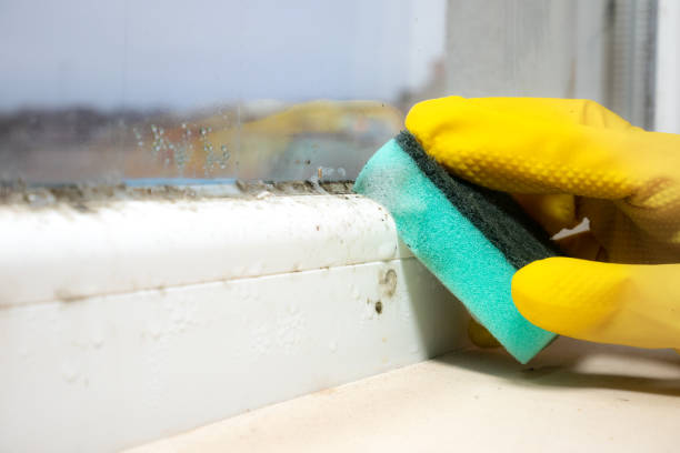 Fort Washington, MD Mold Inspection, Removal & Remediation Company